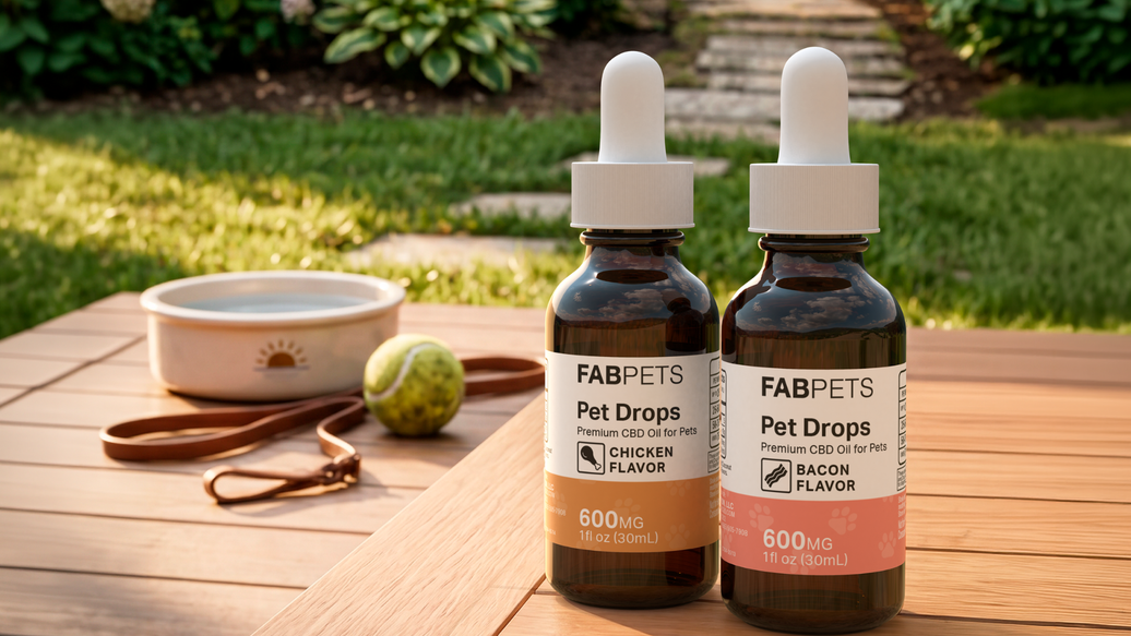 CBD Oil Benefits for Pets