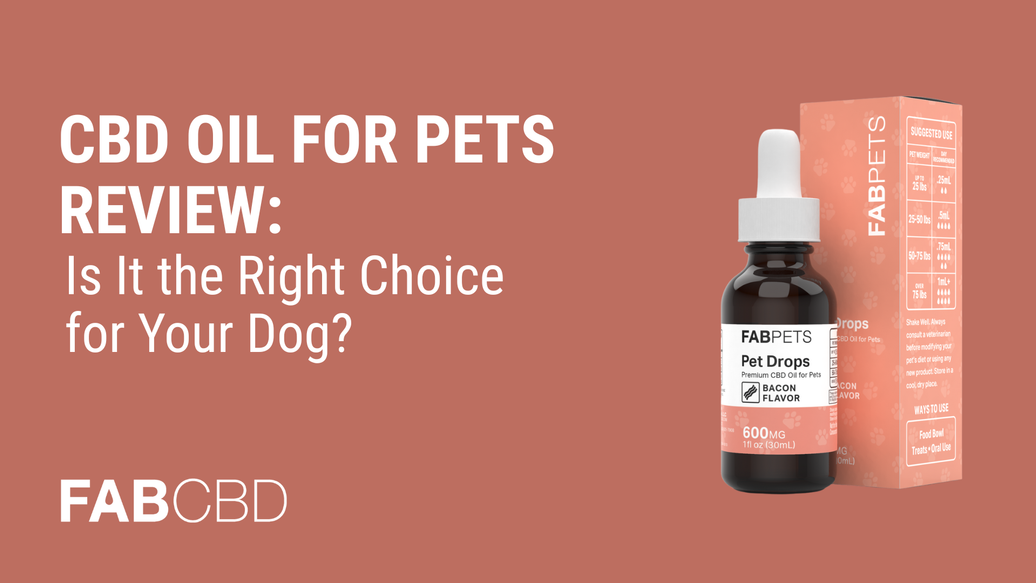 CBD Oil for Pets Review