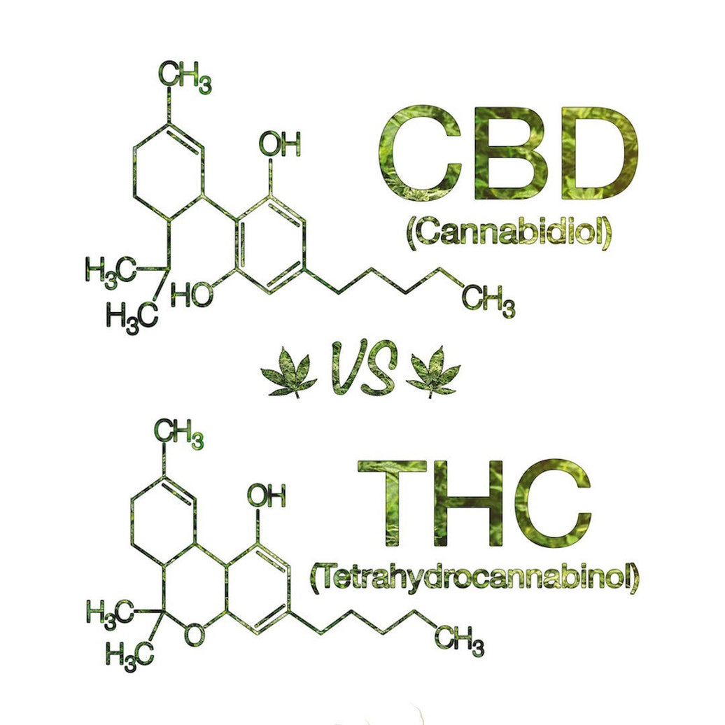 chemical drawings of CBD and THC molecules next to each other for comparison